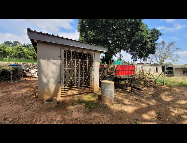 24HA FARM FOR SALE IN WHITE RIVER RURAL